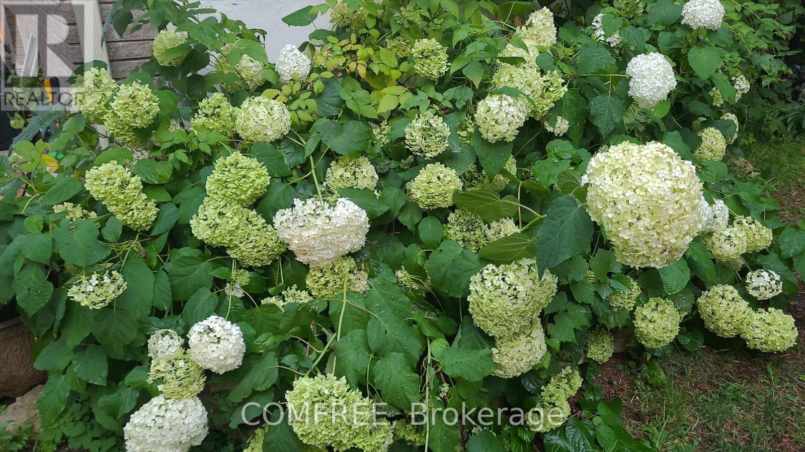 93 Water Street E, Centre Wellington, Ontario  N0B 1S0 - Photo 48 - X12578650