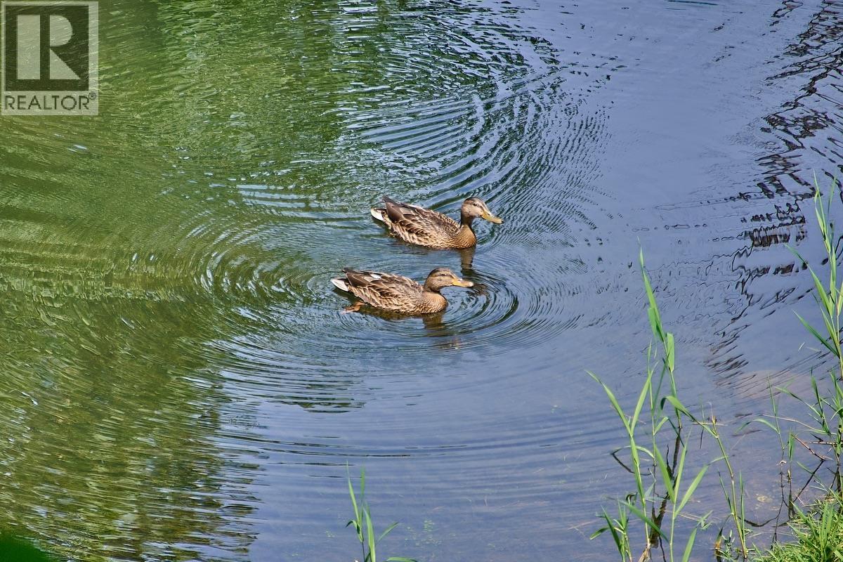 11 23100 129 Avenue, Maple Ridge, British Columbia  V2X 0M5 - Photo 28 - R3079868