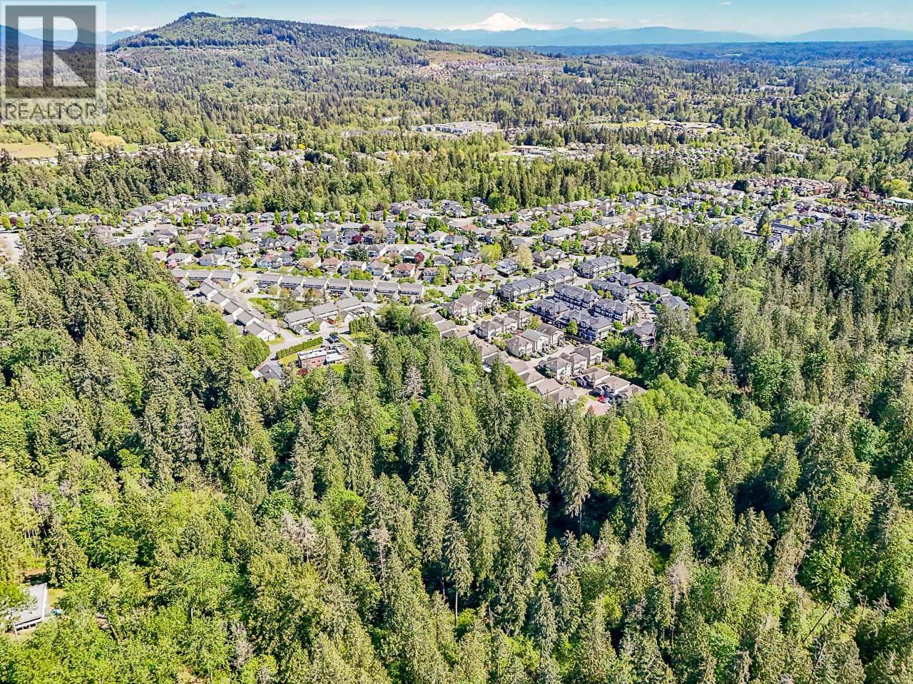 11523 236 Street, Maple Ridge, British Columbia  V2W 1G1 - Photo 31 - R3079788