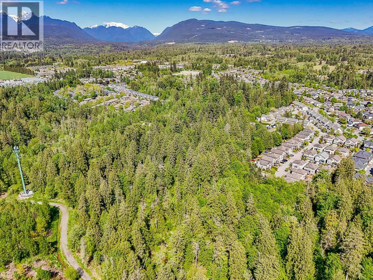 11523 236 Street, Maple Ridge, British Columbia  V2W 1G1 - Photo 32 - R3079788