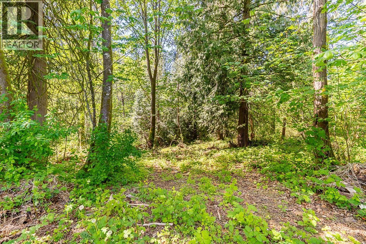 11523 236 Street, Maple Ridge, British Columbia  V2W 1G1 - Photo 23 - R3079788