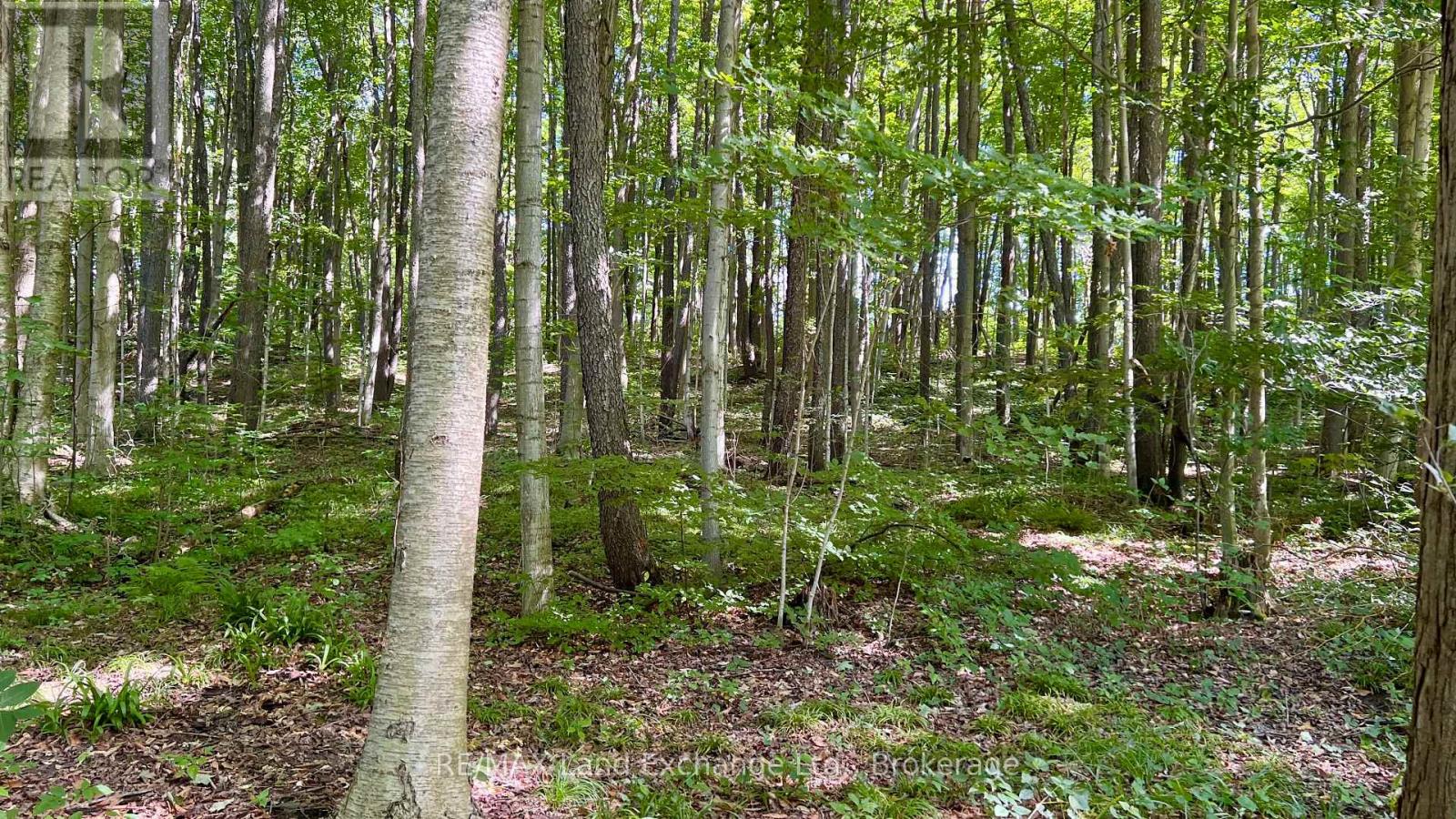 36718a River Road, Ashfield-Colborne-Wawanosh, Ontario  N0G 2H0 - Photo 5 - X12354219