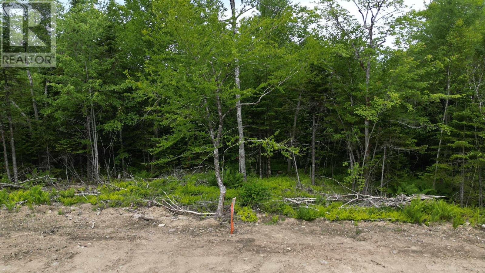 Block 1 Pearl Lane, Lot 11, Lot 15 Pearl Road, Hillsvale, Nova Scotia  B0N 1Z0 - Photo 4 - 202515868