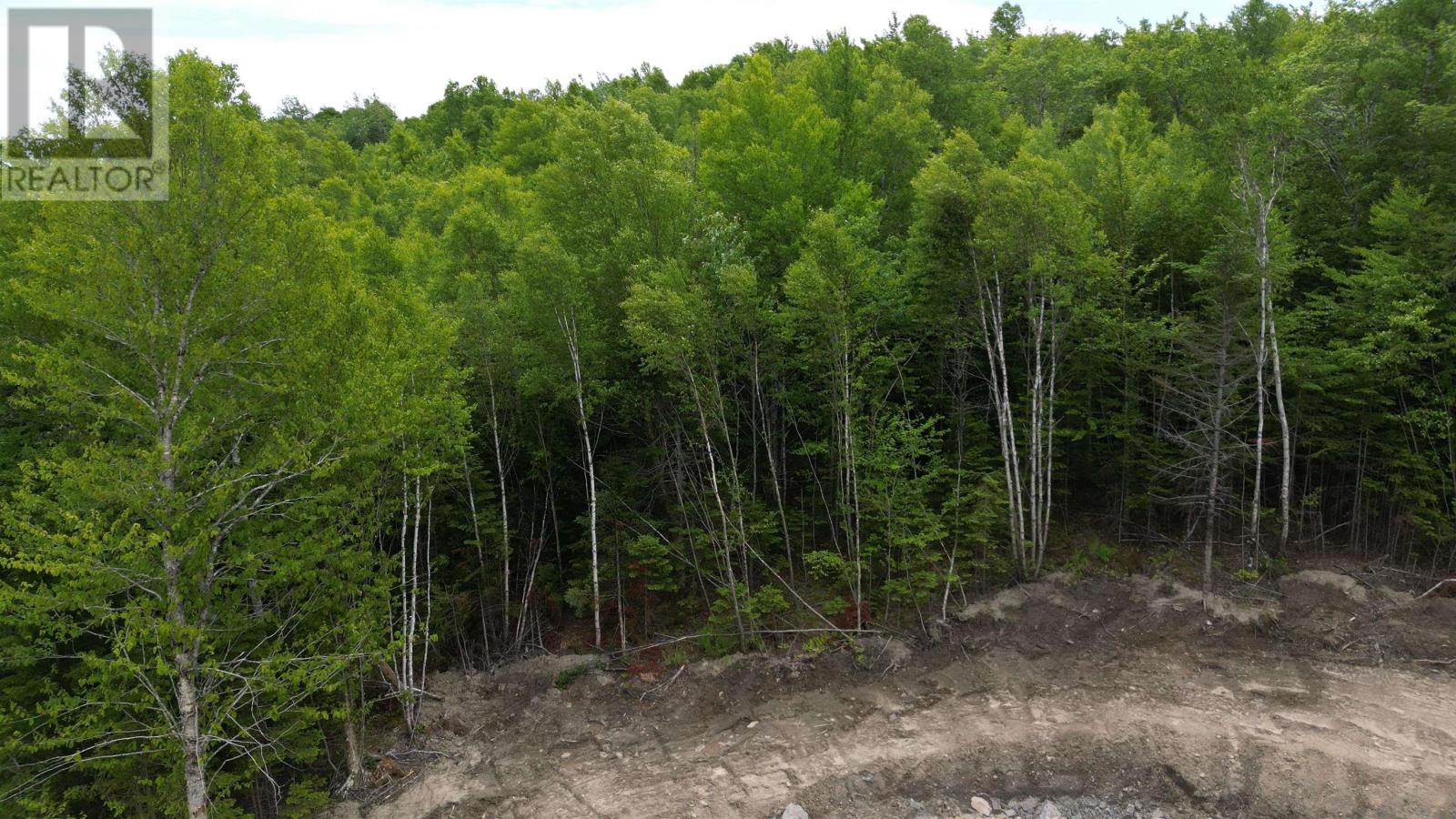 Block 1 Pearl Lane, Lot 11, Lot 15 Pearl Road, Hillsvale, Nova Scotia  B0N 1Z0 - Photo 7 - 202515868
