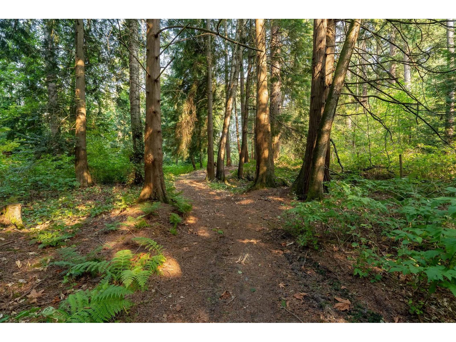 2916 184 Street, Surrey, British Columbia  V2Z 9V2 - Photo 9 - R3079375