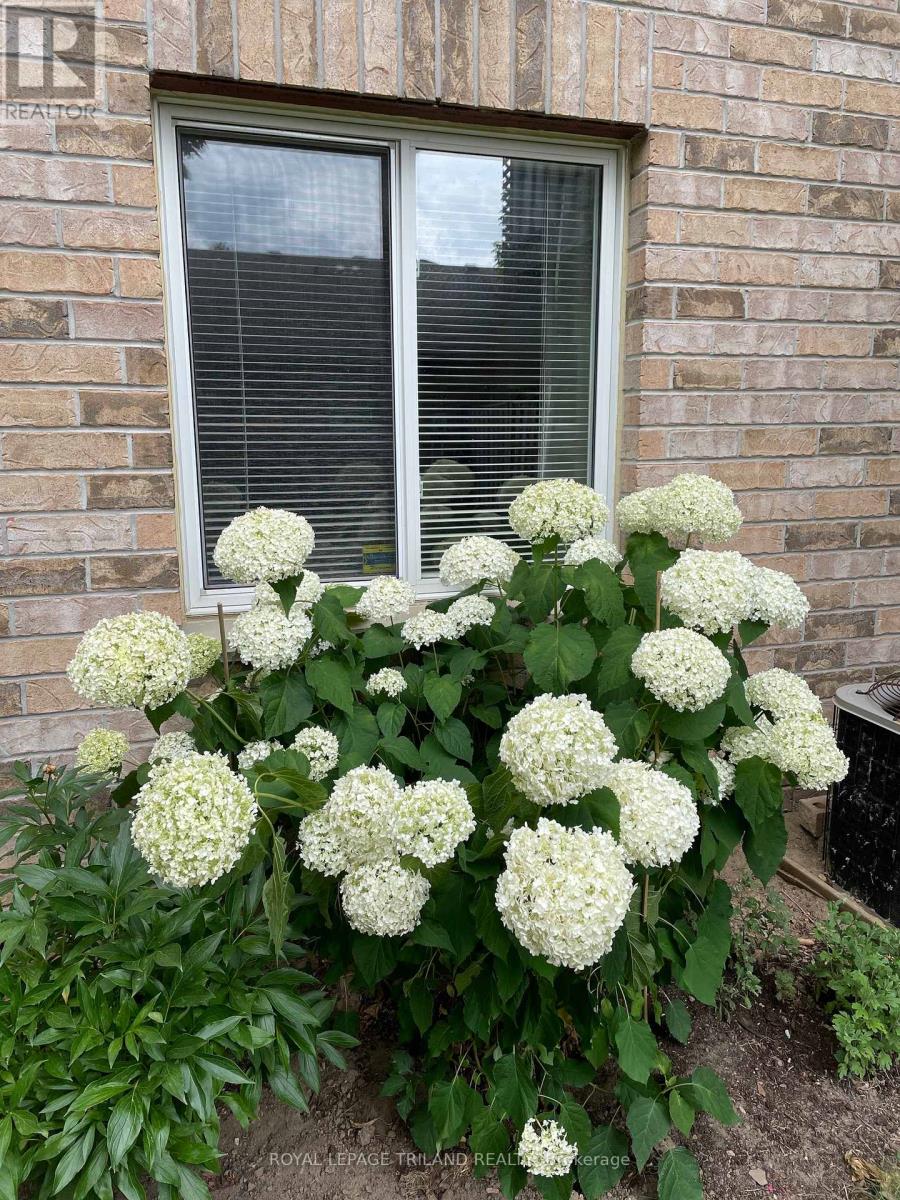 Photo 46 of 48 for 79 - 1241 Beaverbrook Avenue