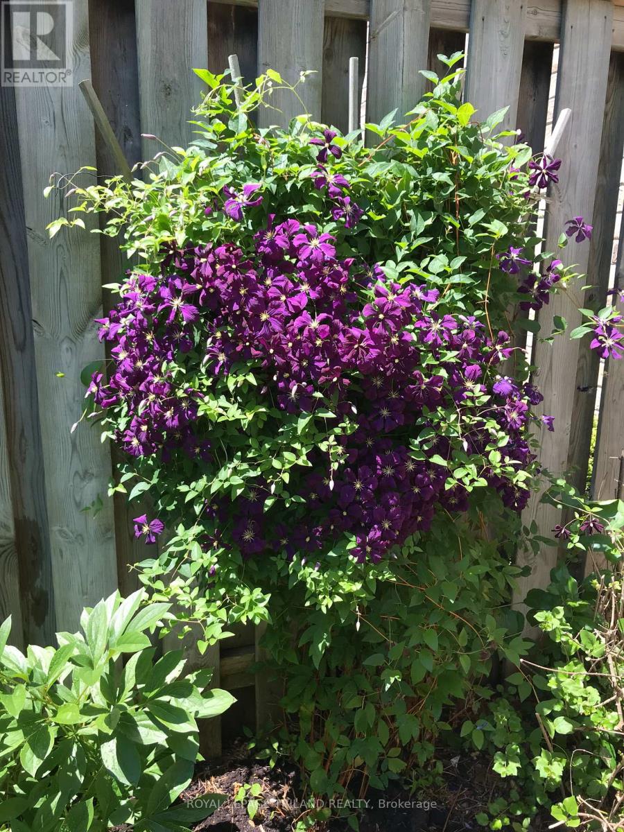 Photo 47 of 48 for 79 - 1241 Beaverbrook Avenue