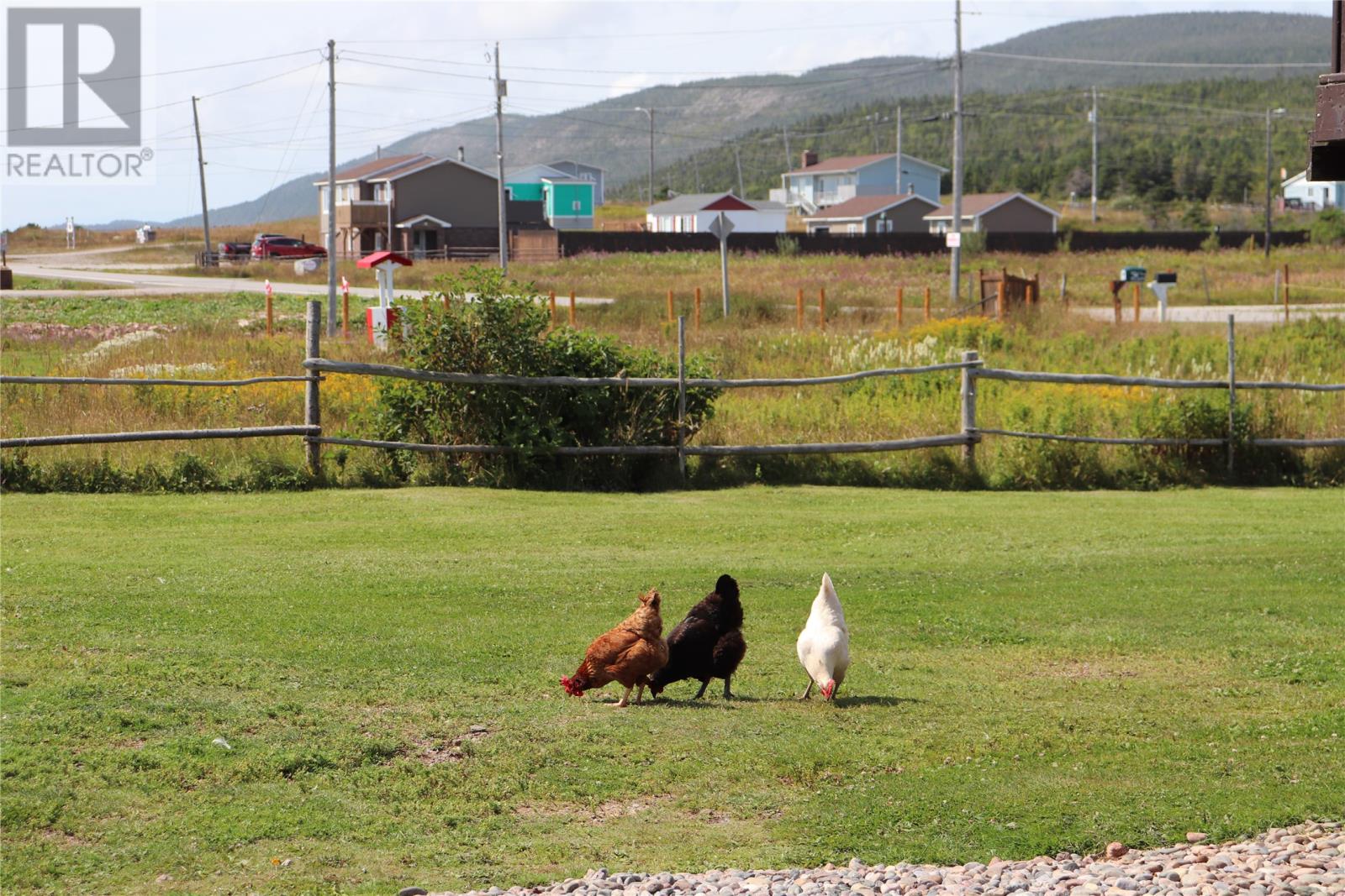 389 Main Road, Sheaves Cove, Newfoundland & Labrador  A0N 1T0 - Photo 34 - 1289763