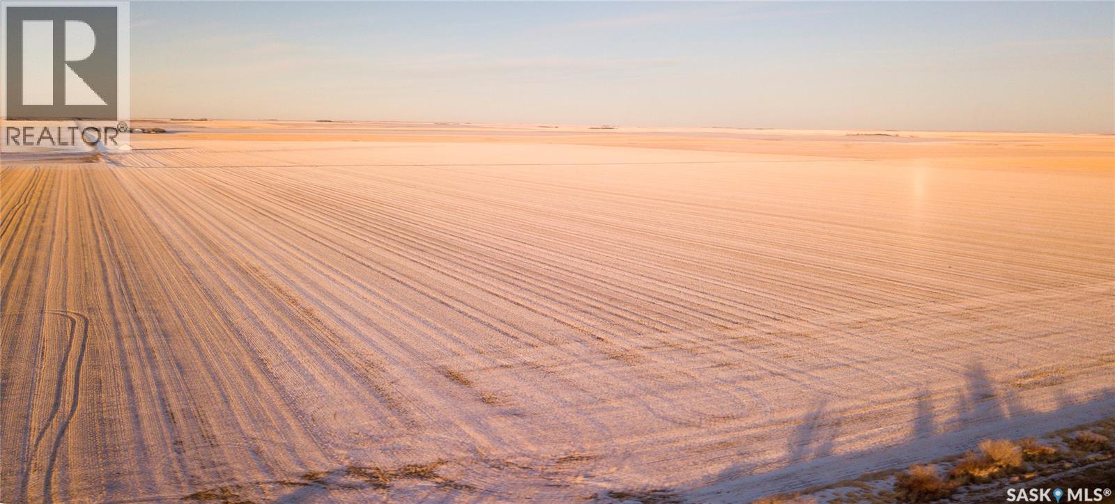 2 Quarters Grainland Near Eston (D & T Loppacher), Snipe Lake Rm No. 259, Saskatchewan  S0L 1A0 - Photo 6 - SK025800