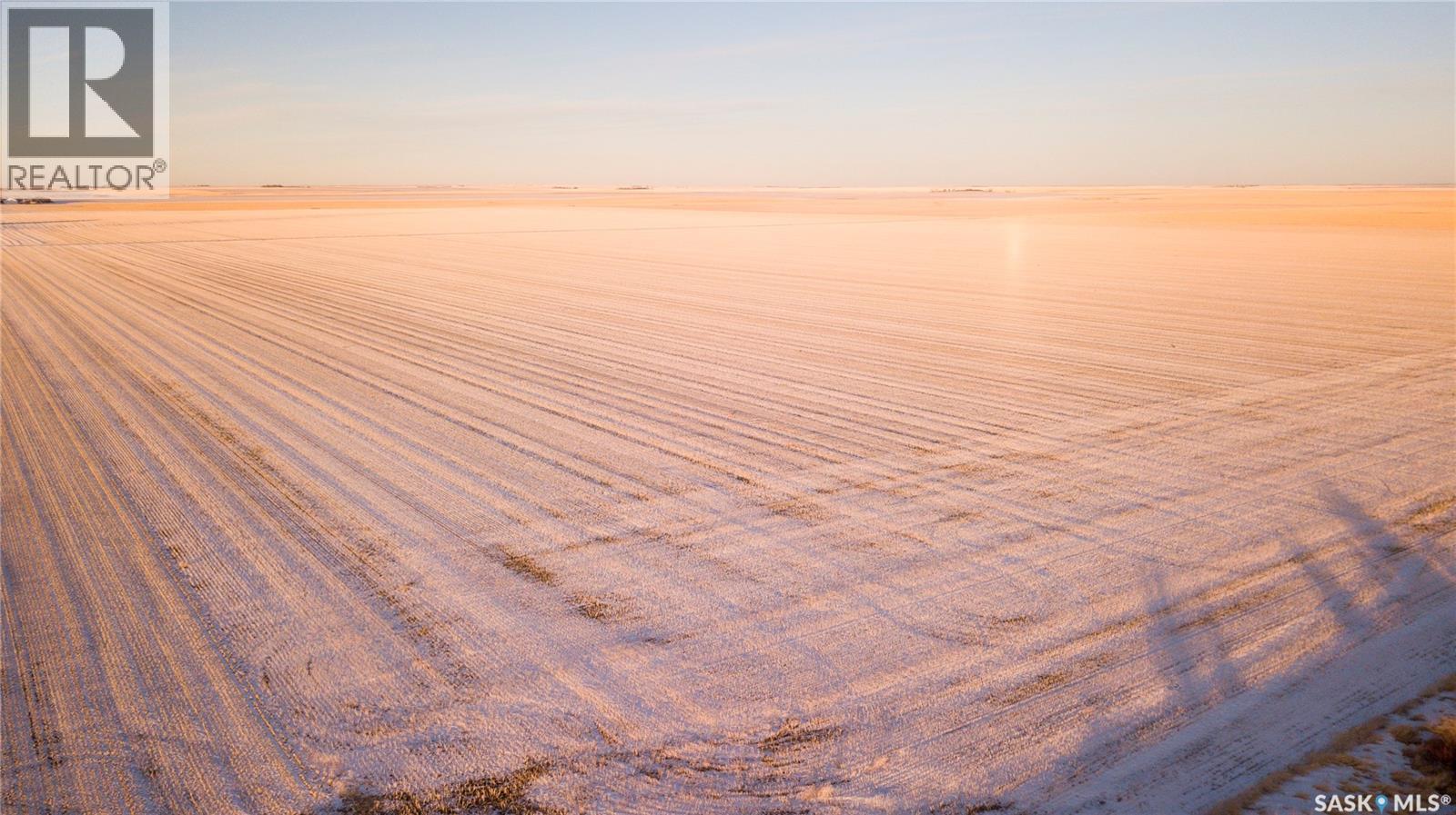 2 Quarters Grainland Near Eston (D & T Loppacher), Snipe Lake Rm No. 259, Saskatchewan  S0L 1A0 - Photo 5 - SK025800