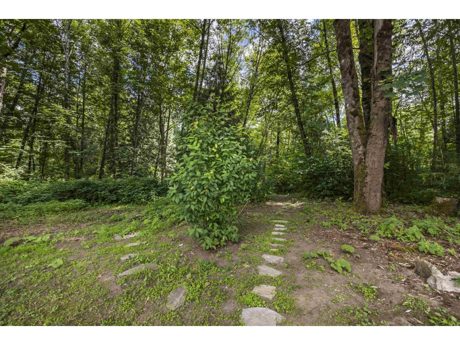 17850 100a Avenue, Surrey, British Columbia  V4N 5C8 - Photo 39 - R3079829