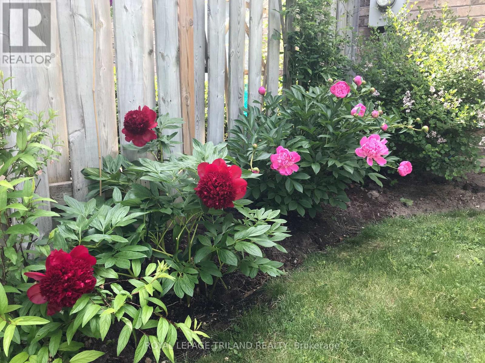 79 - 1241 Beaverbrook Avenue, London North, Ontario  N6H 5P1 - Photo 45 - X12698460