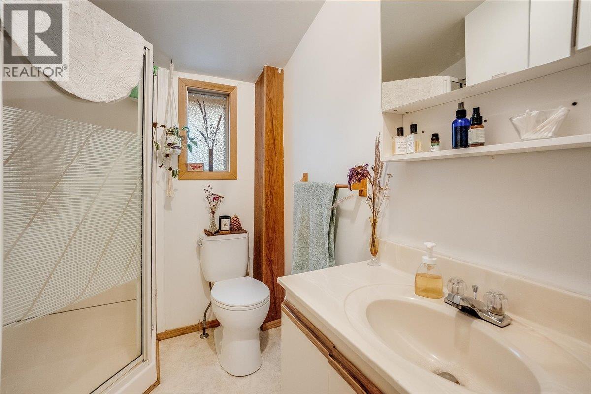 810 Kokanee Avenue, Nelson, British Columbia  V1L 3P6 - Photo 18 - 10372535