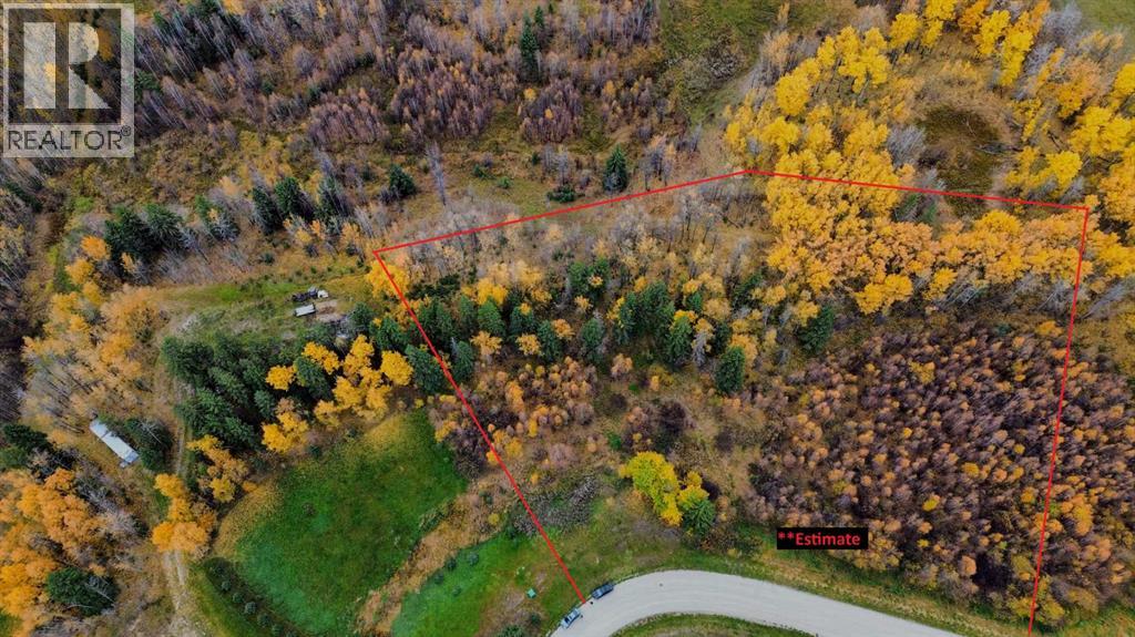 9, 15015 Township Road 424 Township, Rural Ponoka County, Alberta  T0B 0H0 - Photo 4 - A2279272