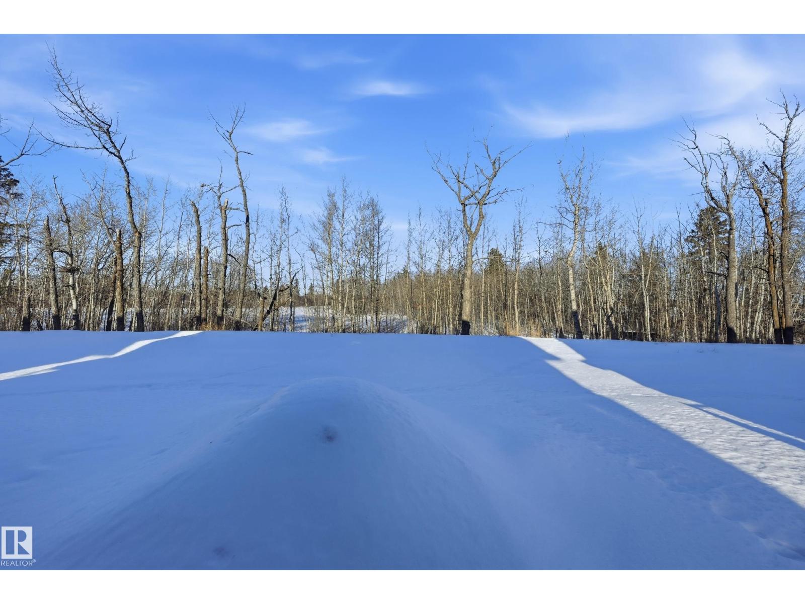 55 Patriot Wy, Spruce Grove, Alberta  T7X 2W6 - Photo 32 - E4470180