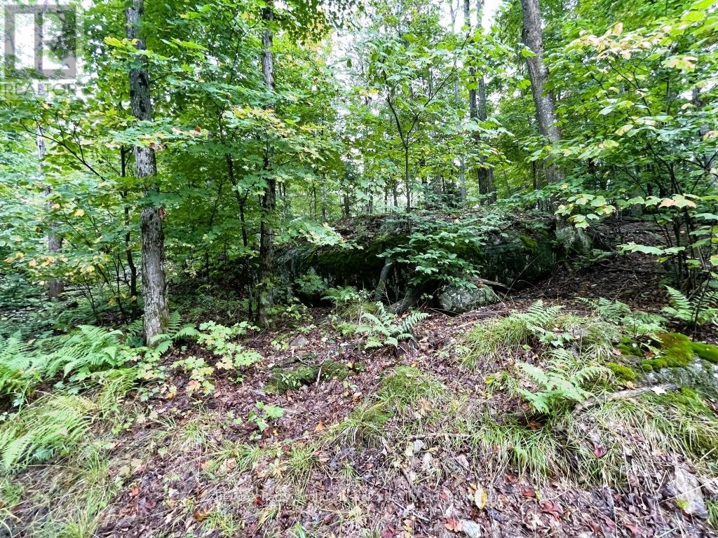 75 Granite Drive, Huntsville, Ontario  P0A 1R0 - Photo 10 - X12700770