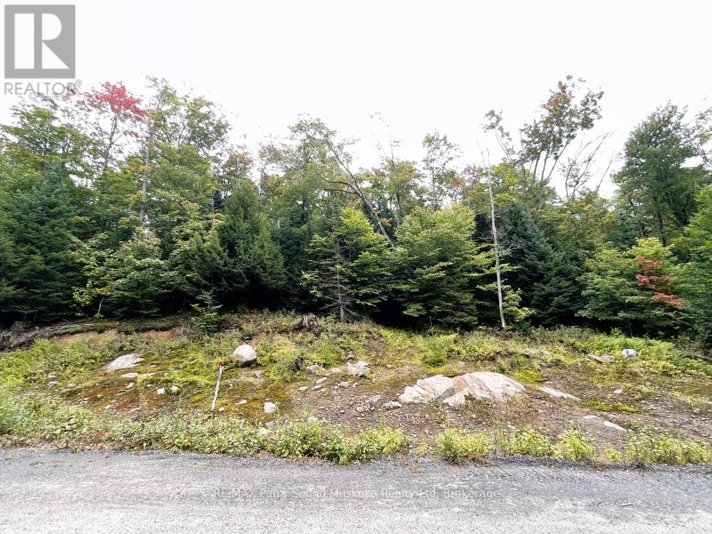 75 Granite Drive, Huntsville, Ontario  P0A 1R0 - Photo 11 - X12700770