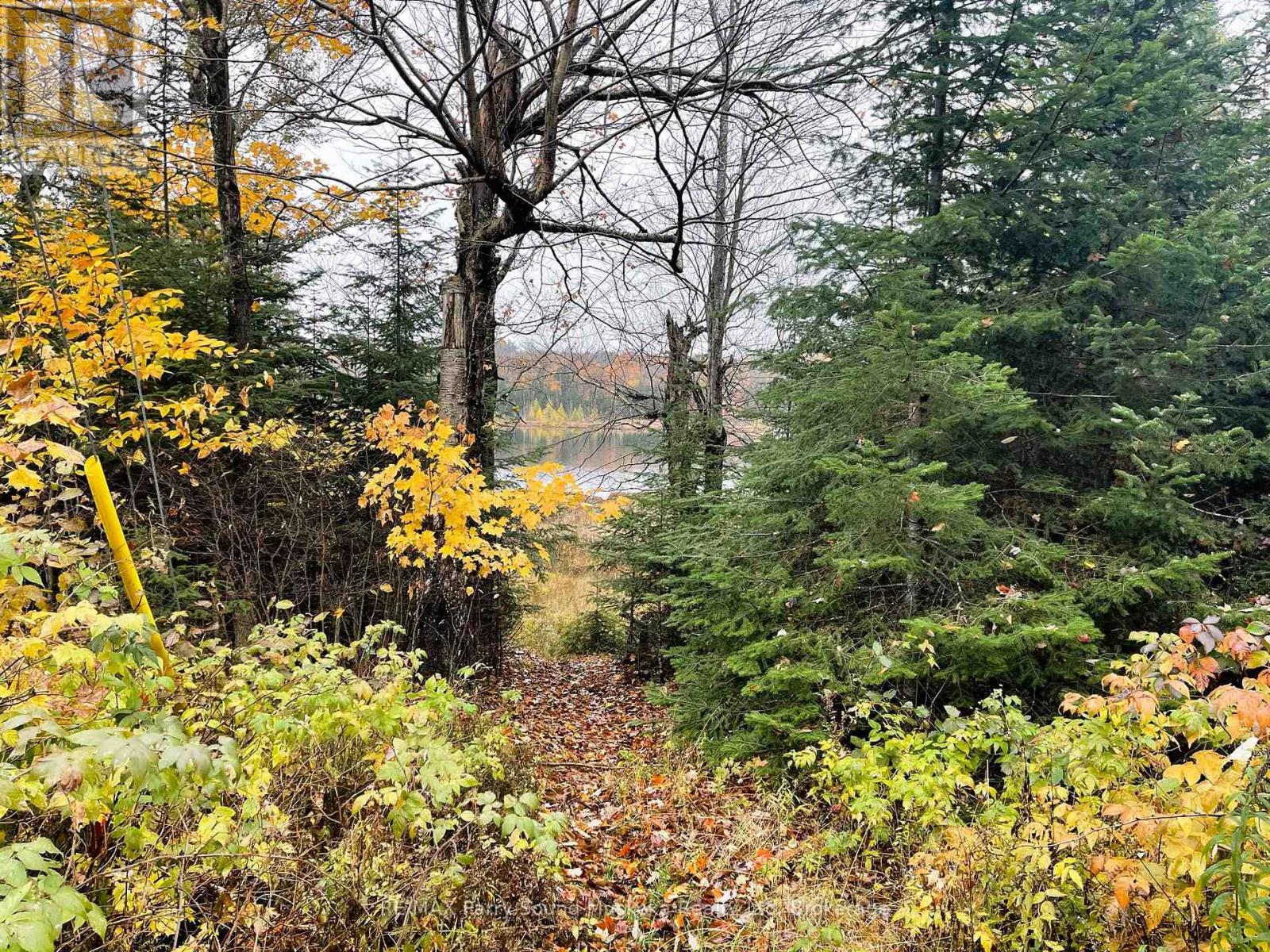 75 Granite Drive, Huntsville, Ontario  P0A 1R0 - Photo 13 - X12700770