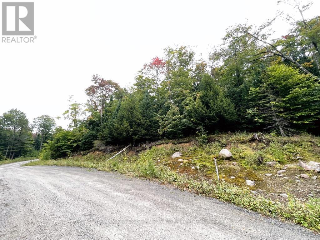 75 Granite Drive, Huntsville, Ontario  P0A 1R0 - Photo 4 - X12700770