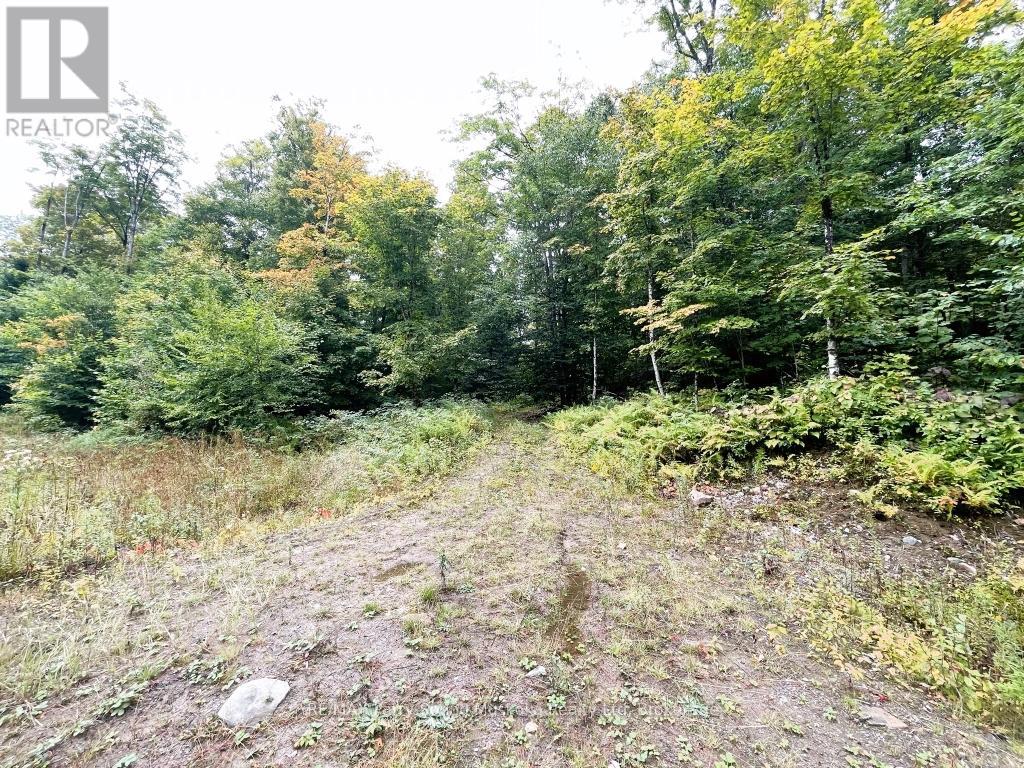 75 Granite Drive, Huntsville, Ontario  P0A 1R0 - Photo 6 - X12700770