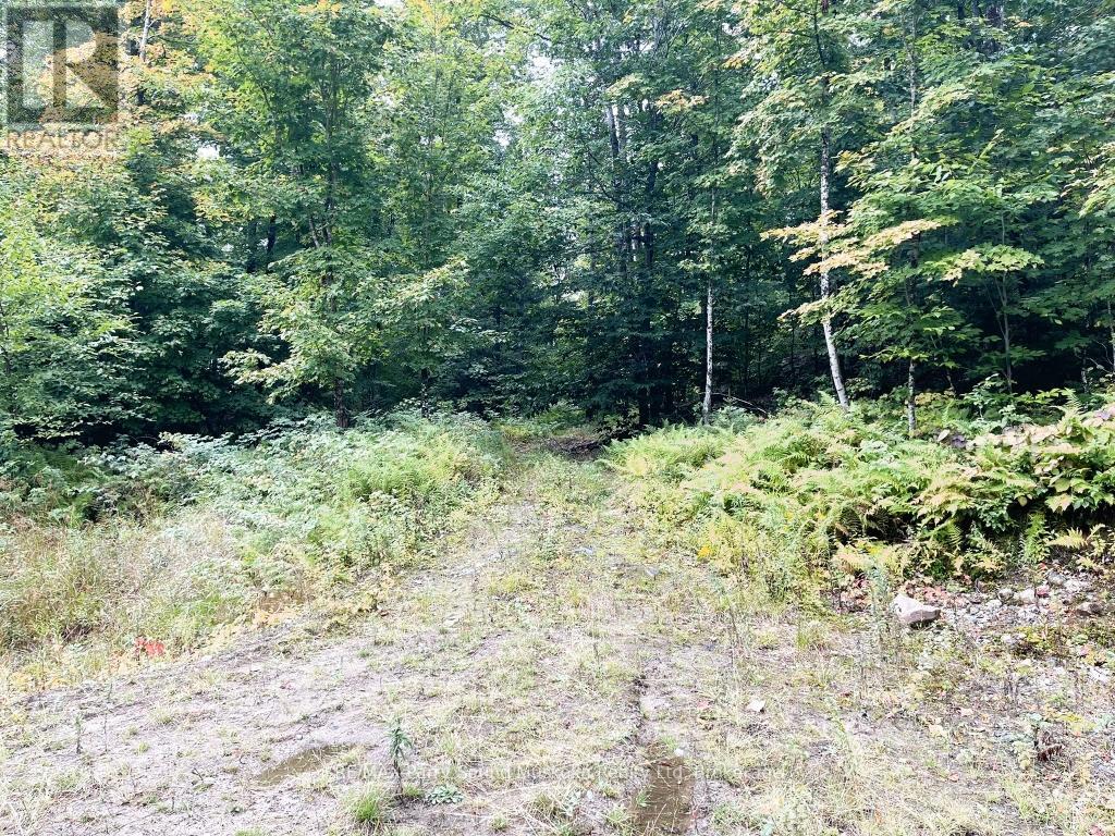 75 Granite Drive, Huntsville, Ontario  P0A 1R0 - Photo 7 - X12700770