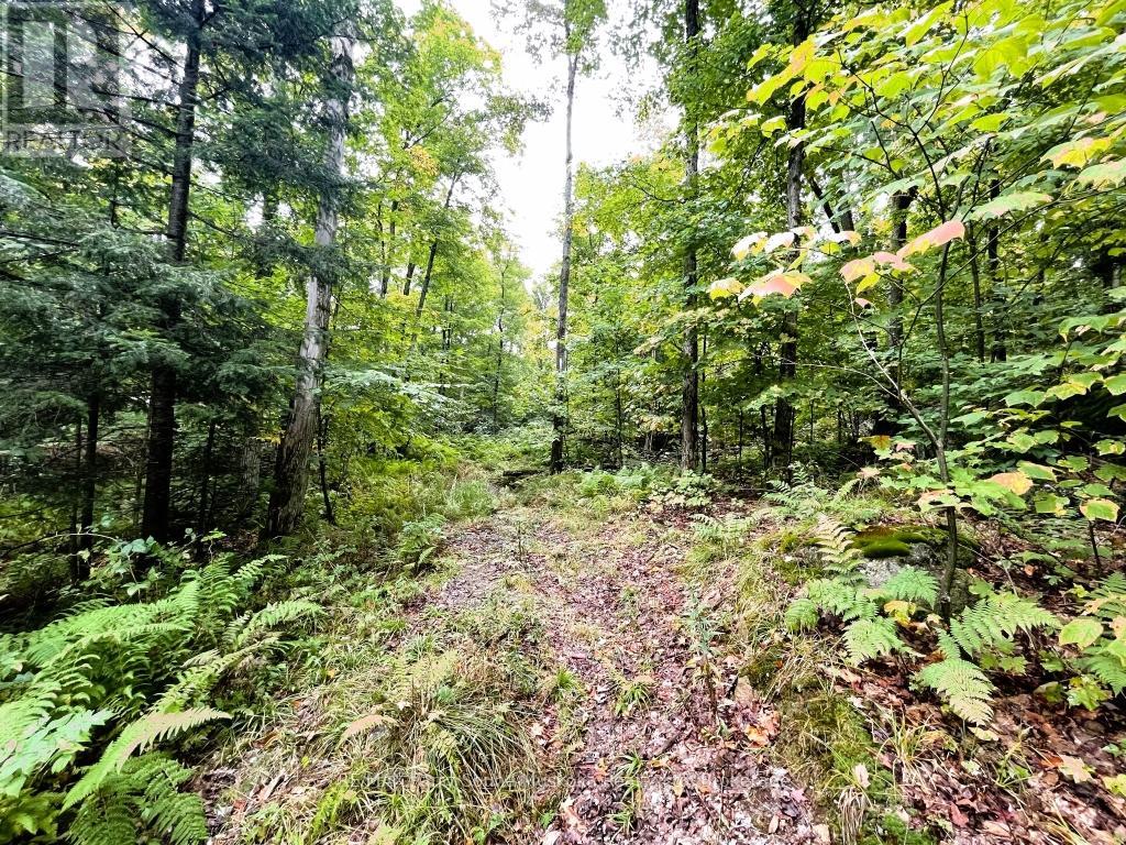 75 Granite Drive, Huntsville, Ontario  P0A 1R0 - Photo 8 - X12700770