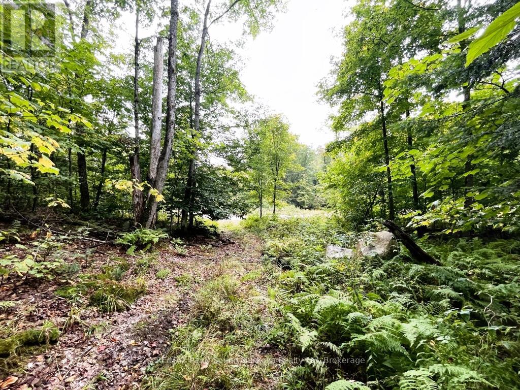 75 Granite Drive, Huntsville, Ontario  P0A 1R0 - Photo 9 - X12700770