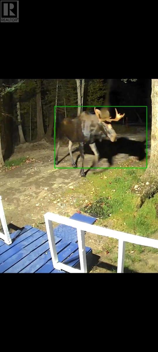 328 Mission Rd, Goulais River, Ontario  P0S 1E0 - Photo 30 - SM260076