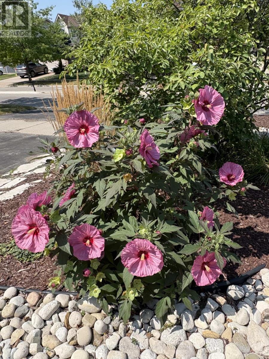 113 Deer Ridge Drive, Kitchener, Ontario  N2P 2K9 - Photo 49 - X12700756