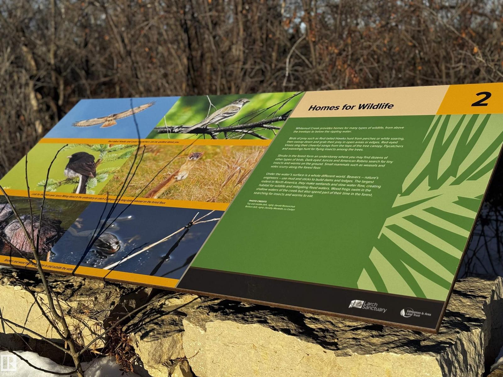 #401 7471 May Cm Nw, Edmonton, Alberta  T6R 0X5 - Photo 51 - E4470177