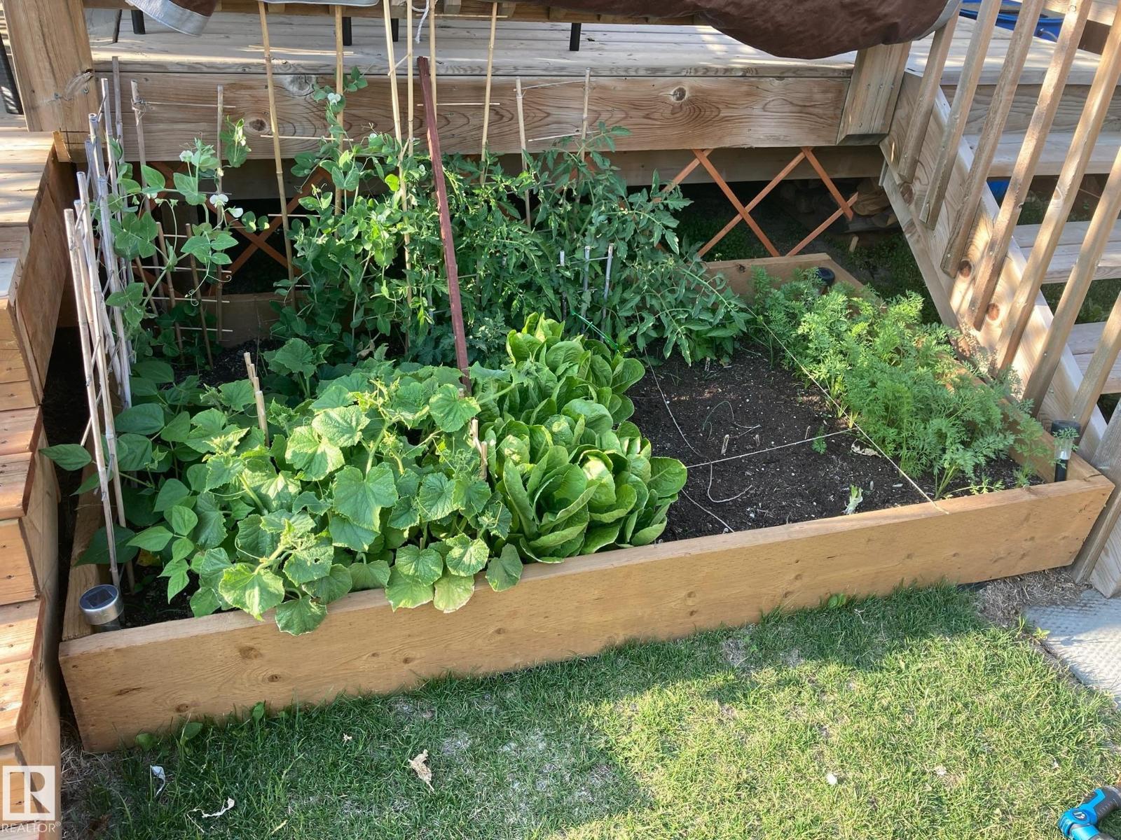 25 Harrison Ga, Spruce Grove, Alberta  T7X 0X2 - Photo 22 - E4469622