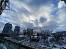 208 - 51 Lower Simcoe Street, Toronto, Ontario  M5J 3A2 - Photo 37 - C12701058