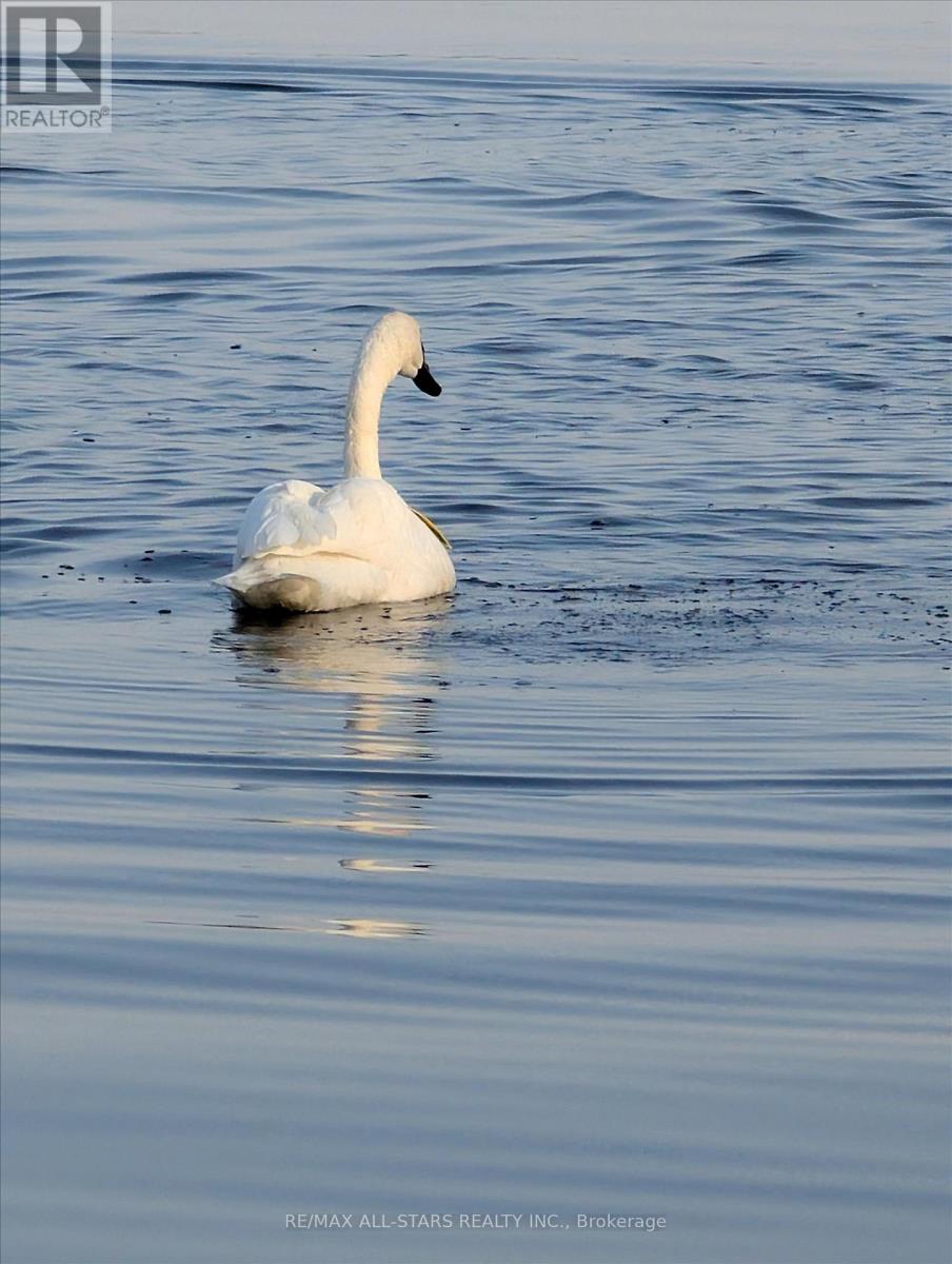 194 Snug Harbour Road, Kawartha Lakes, Ontario  K9V 4R6 - Photo 48 - X12685574