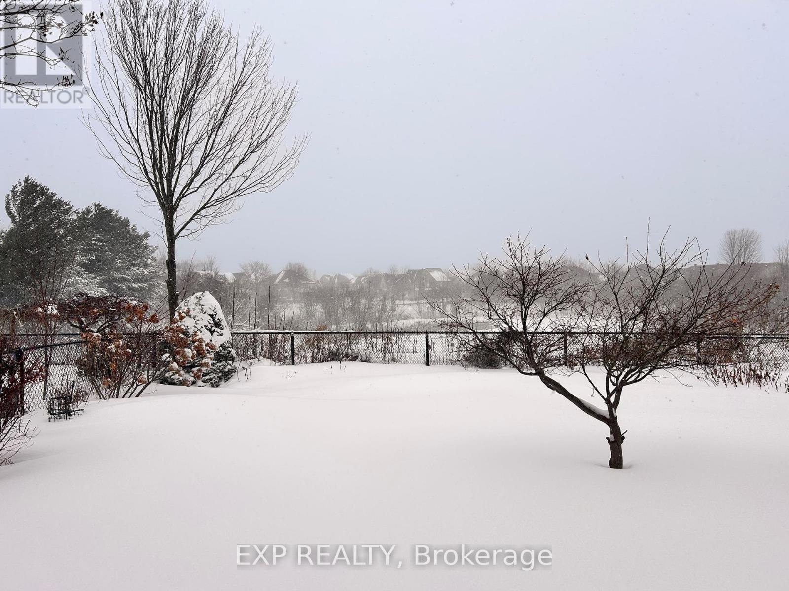 Bsmt - 5 Richvalley Crescent, Richmond Hill (Jefferson), Ontario  L4E 4C8 - Photo 3 - N12701136