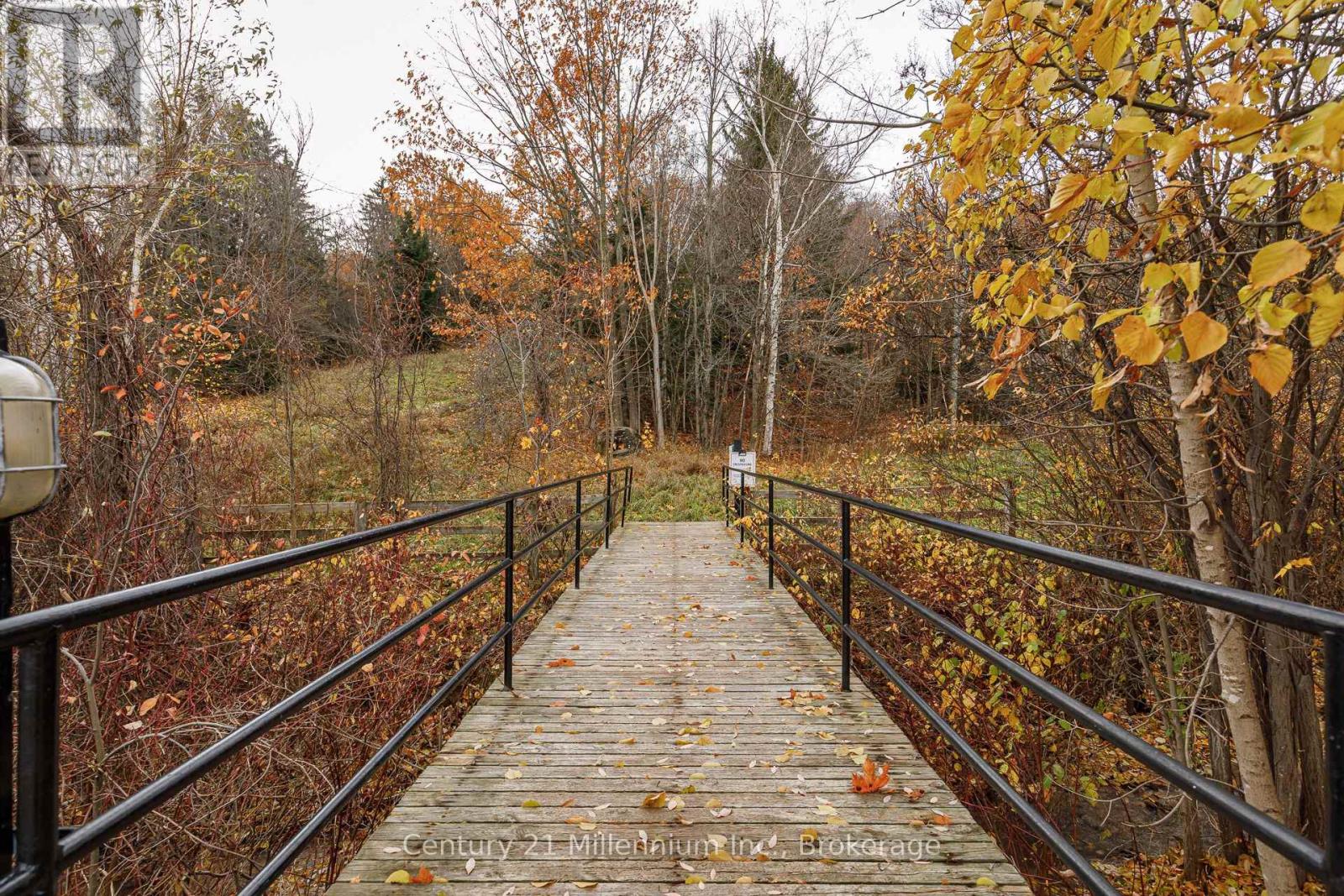 101 - 796468 Grey Road 19 Road, Blue Mountains, Ontario  L9Y 0N6 - Photo 42 - X12701298