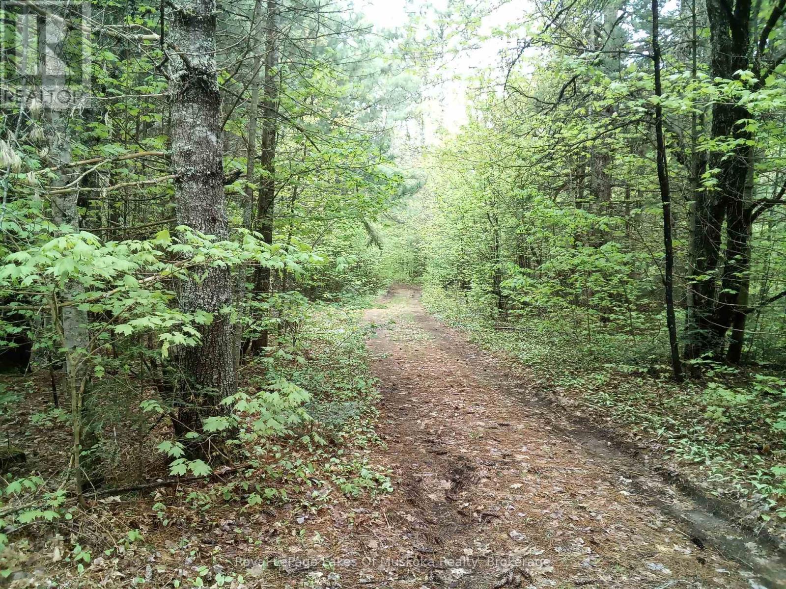 1590 YEARLEY ROAD, Huntsville, Ontario