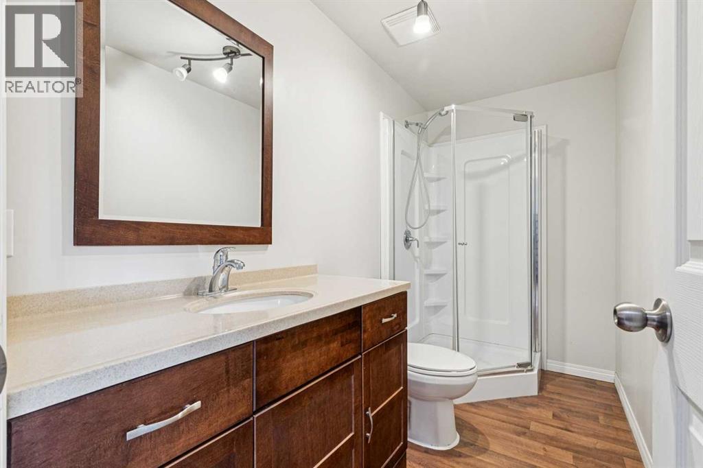 460 Silverado Plains Circle Sw, Calgary, Alberta  T2X 0H3 - Photo 29 - A2278948