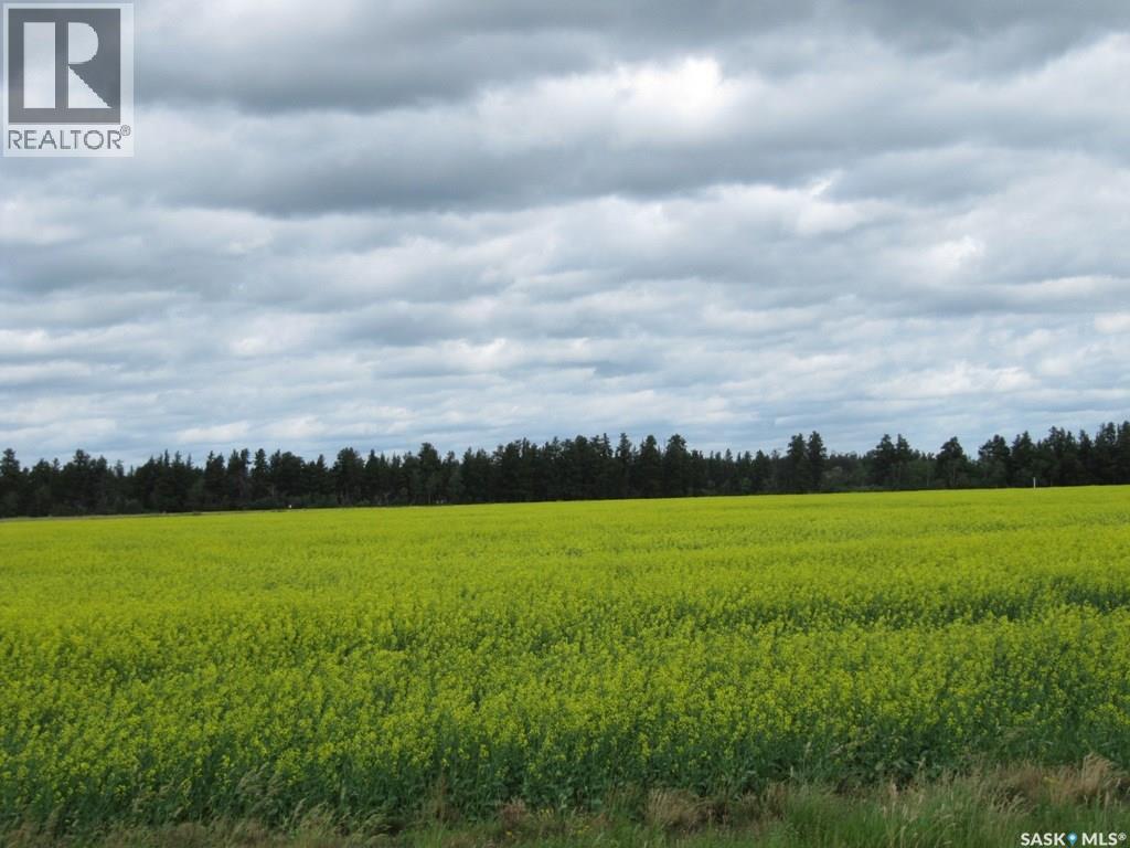 Lot 10 Parcel 3.55 Acres, Nipawin Rm No. 487, Saskatchewan  S0E 1E0 - Photo 2 - SK026930