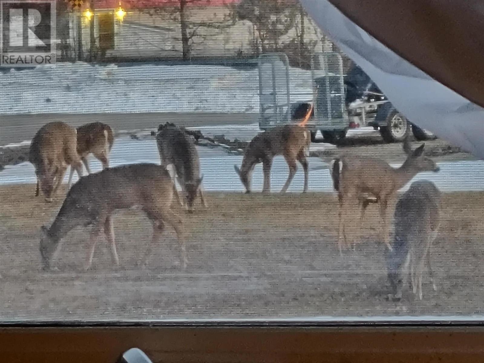 5 Forest St, Iron Bridge, Ontario  P0R 1H0 - Photo 29 - SM260113