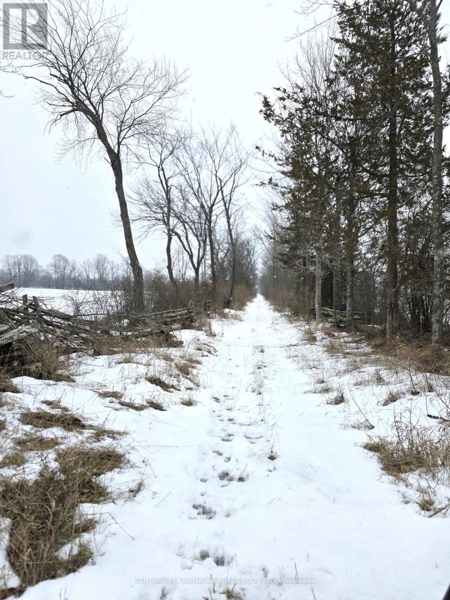 0 Shannonville Road, Tyendinaga (Tyendinaga Township), Ontario  K0K 1V0 - Photo 12 - X12701518