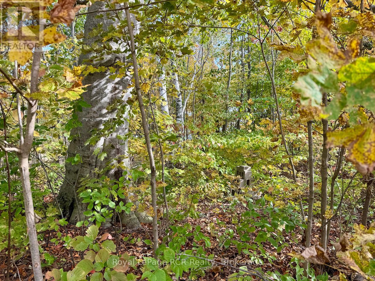 35 Byron Street, Northern Bruce Peninsula, Ontario  N0H 1W0 - Photo 11 - X12701552