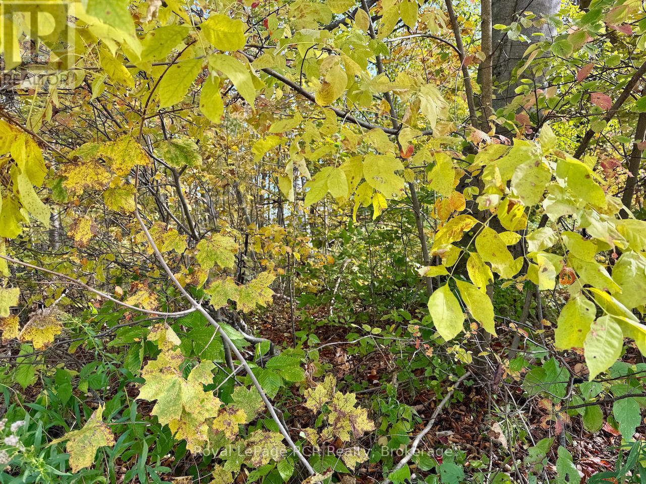 35 Byron Street, Northern Bruce Peninsula, Ontario  N0H 1W0 - Photo 12 - X12701552