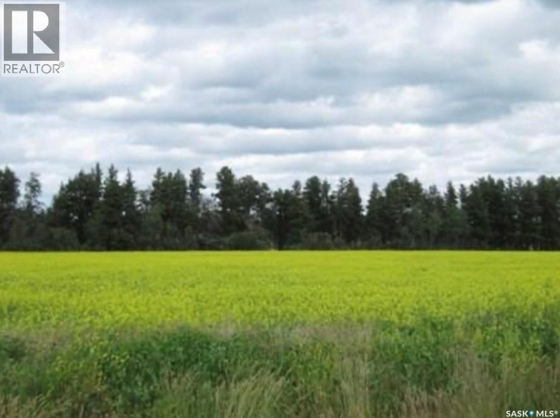 Lot 11 Parcel 3.41 Acres, Nipawin Rm No. 487, Saskatchewan  S0E 1E0 - Photo 2 - SK026931