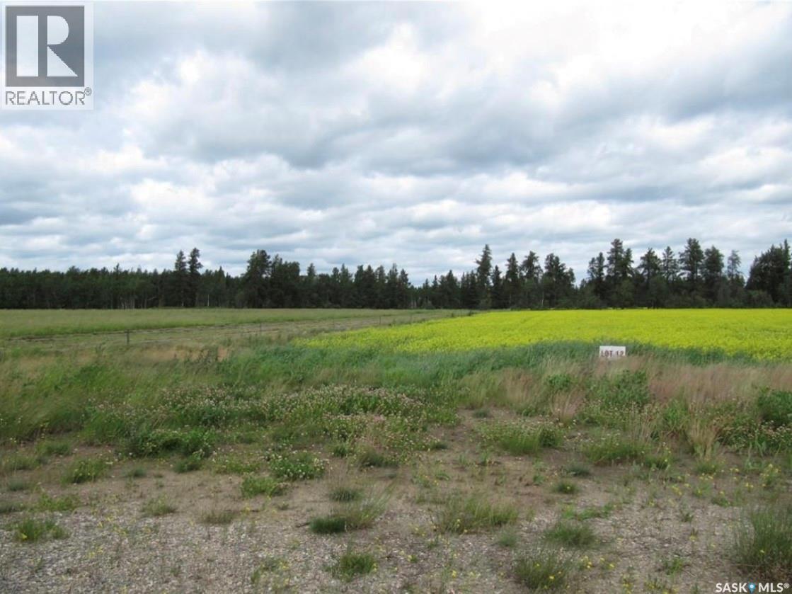 Lot 11 Parcel 3.41 Acres, Nipawin Rm No. 487, Saskatchewan  S0E 1E0 - Photo 3 - SK026931
