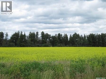 Lot 13 Parcel 3.53 Acres, Nipawin Rm No. 487, Saskatchewan  S0E 1E0 - Photo 2 - SK026929