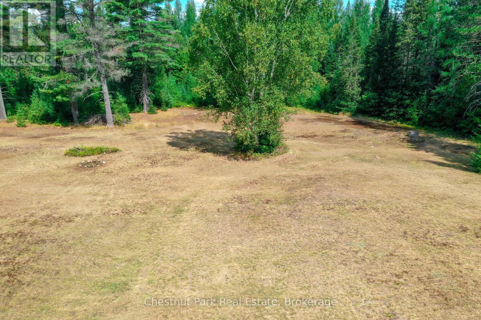 158 Selena Drive, Mcmurrich/monteith, Ontario P0A 1Y0 - Photo 26 - X12482692