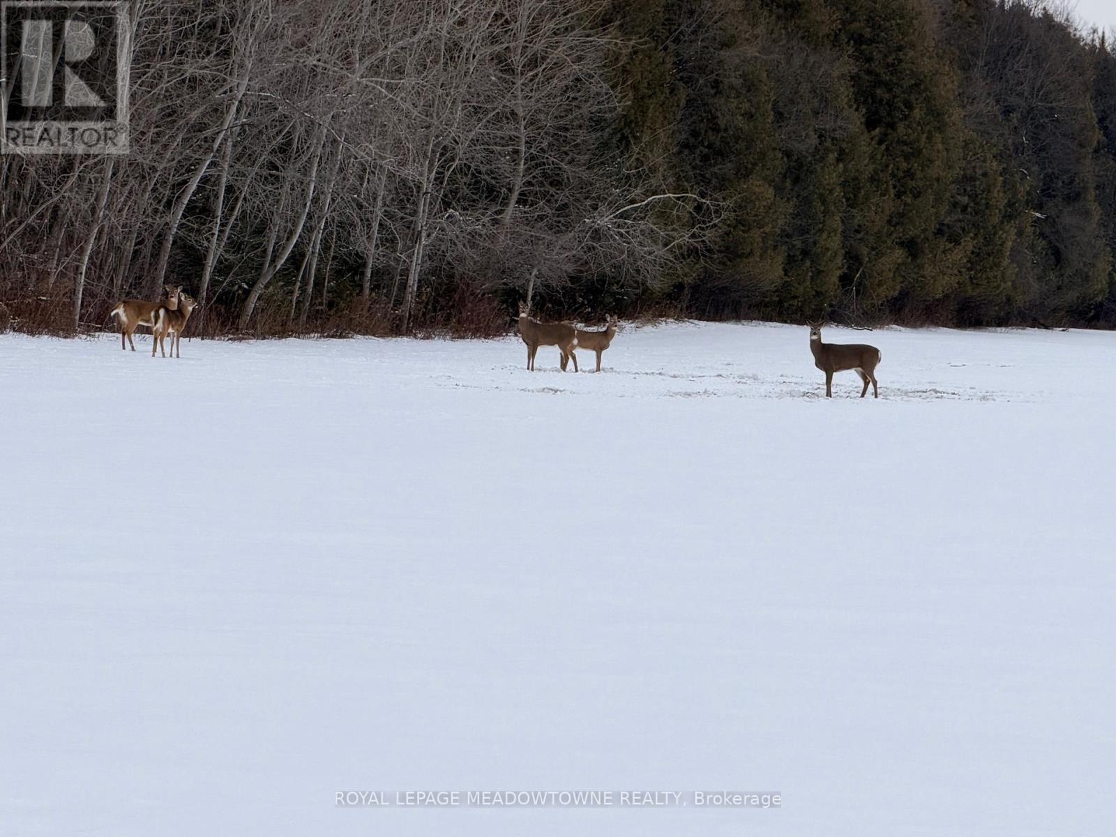 6089 First Line, Erin, Ontario  L0N 1N0 - Photo 39 - X12699272