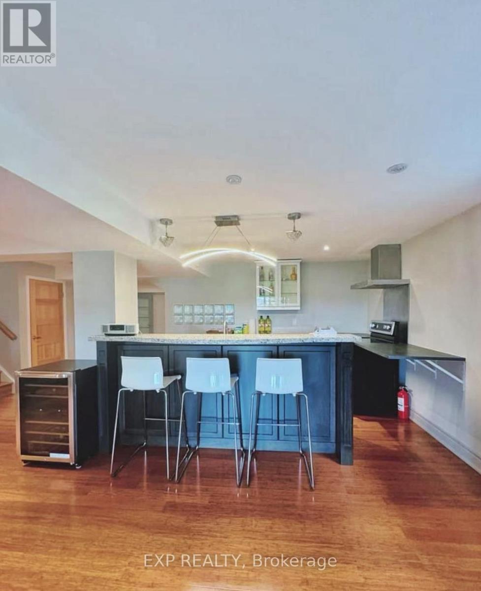 Bsmt - 5 Richvalley Crescent, Richmond Hill, Ontario  L4E 4C8 - Photo 11 - N12701136