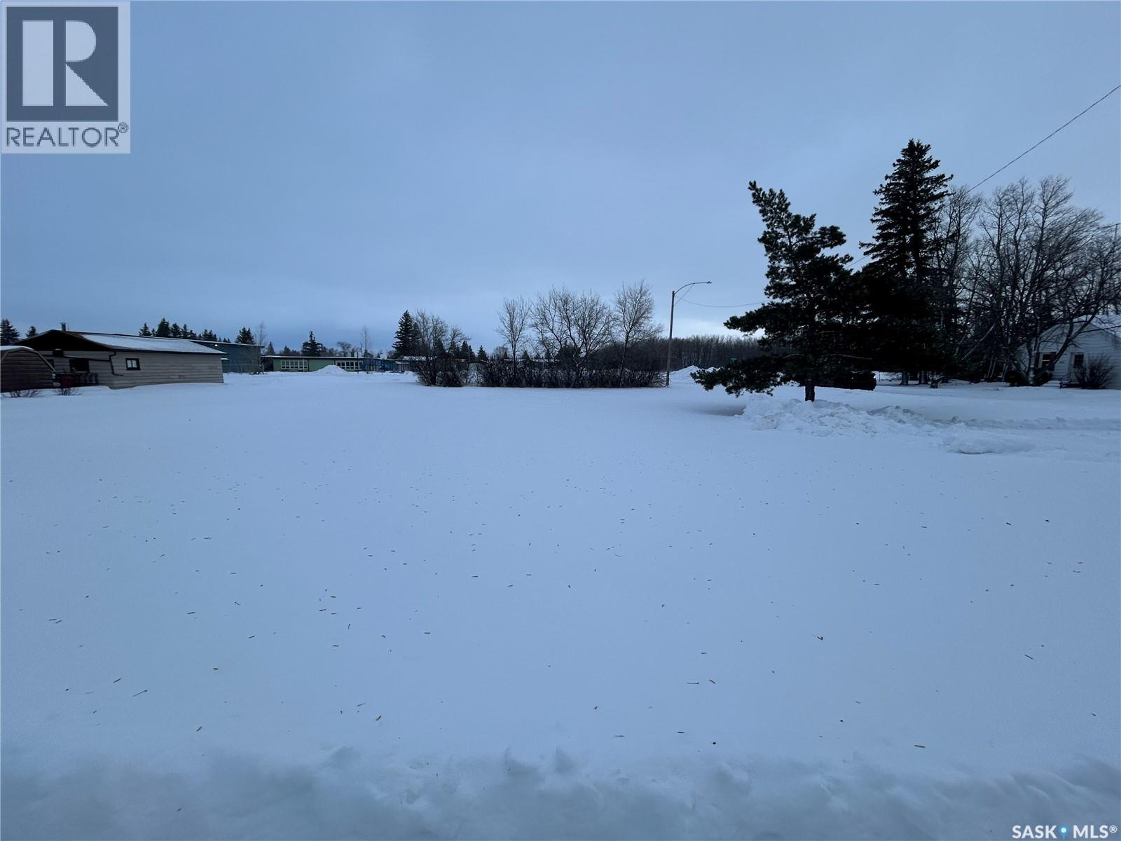 319 5th Street, Star City, Saskatchewan  S0E 1P0 - Photo 1 - SK026881