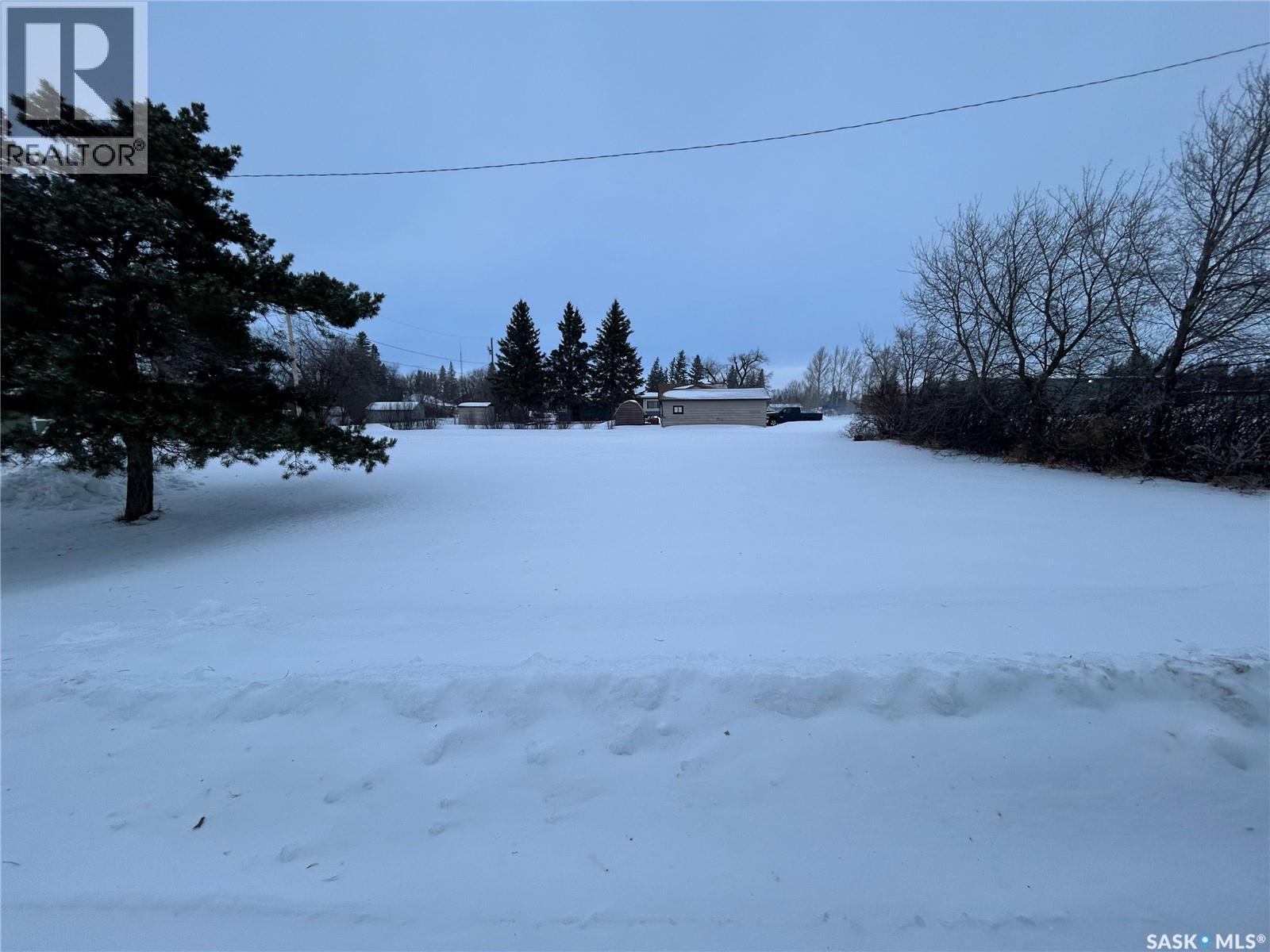 319 5th Street, Star City, Saskatchewan  S0E 1P0 - Photo 2 - SK026881